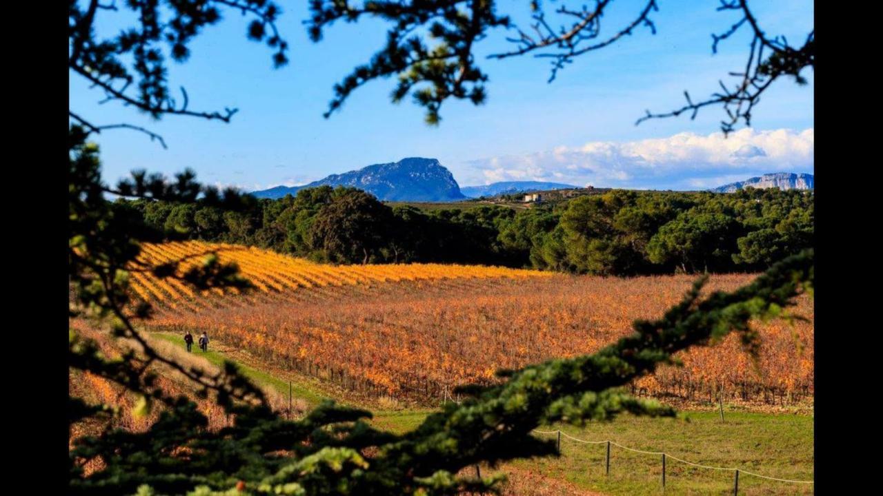 Gite Du Domaine Saint Jean De L'Arbousier كاستريس المظهر الخارجي الصورة